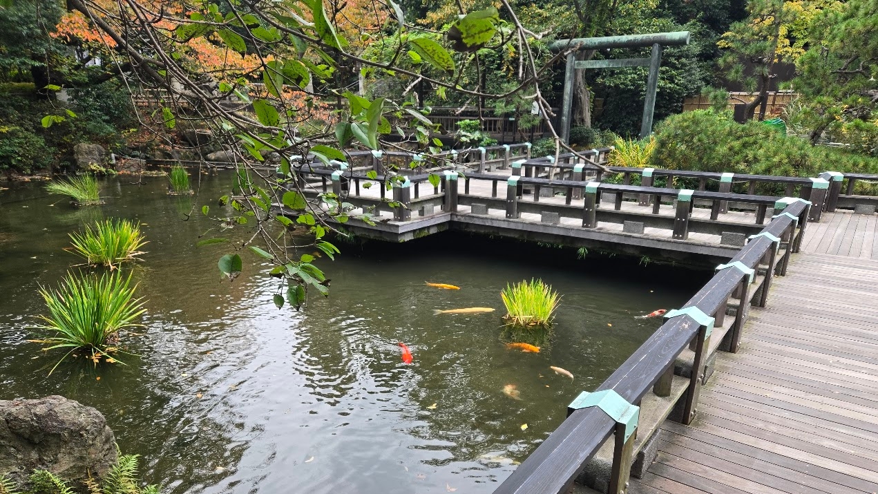 A photo of a pond, featuring a torii gate in the background..