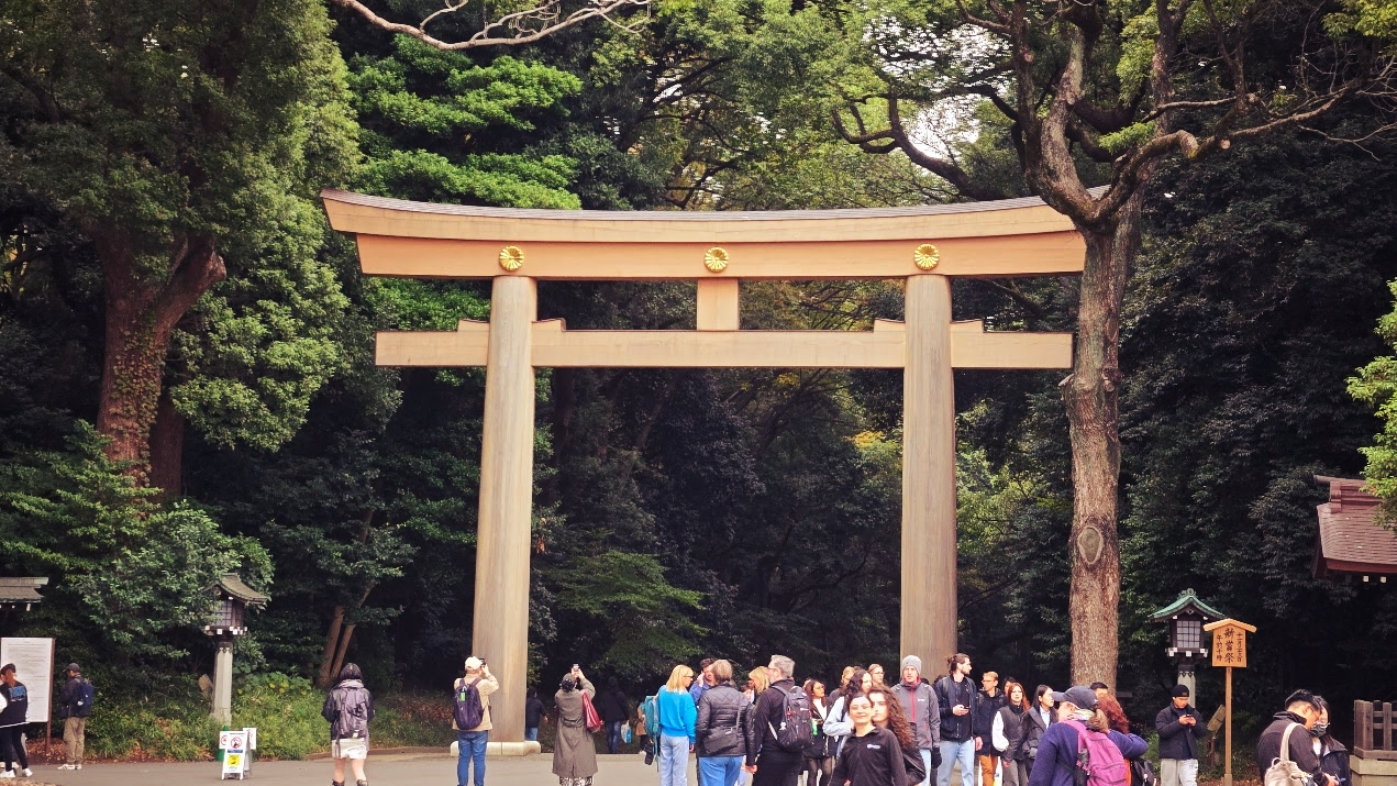 A photo of a crowd with a torii gate and forest background.