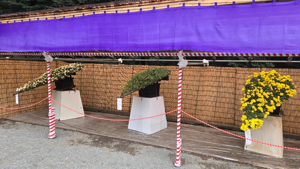 A photo of a flower display.