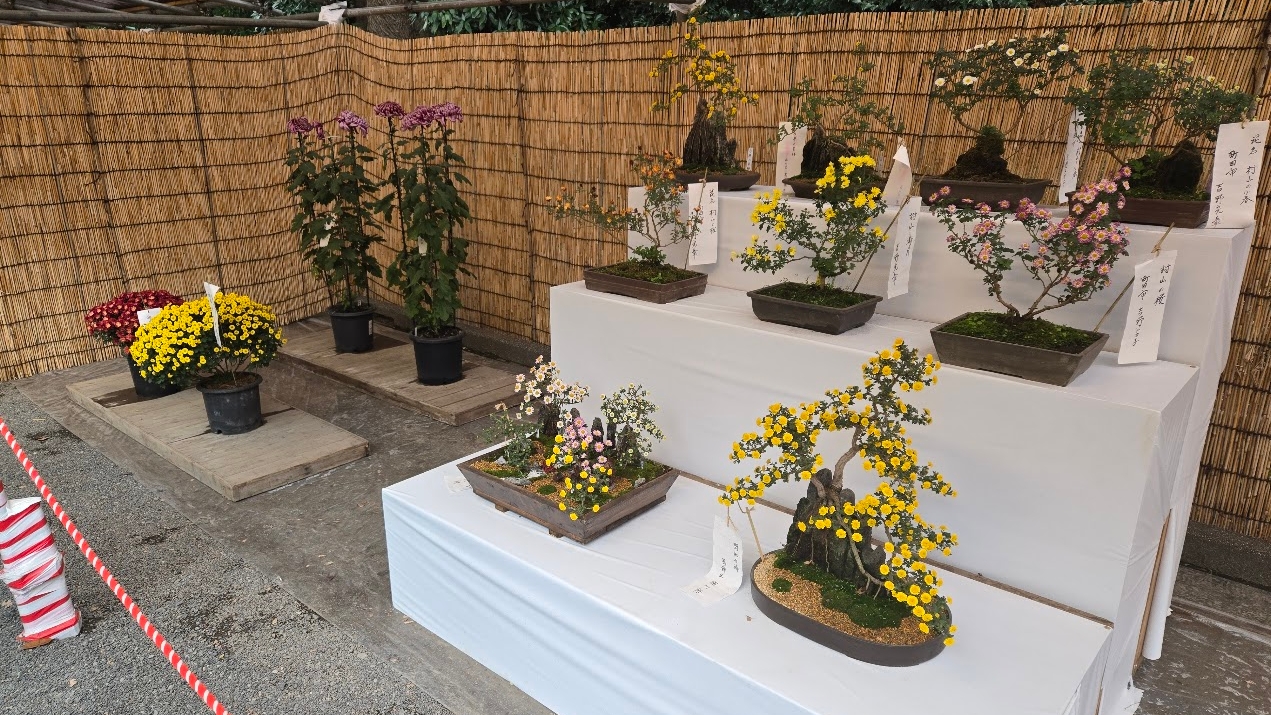 A photo of a flower display.