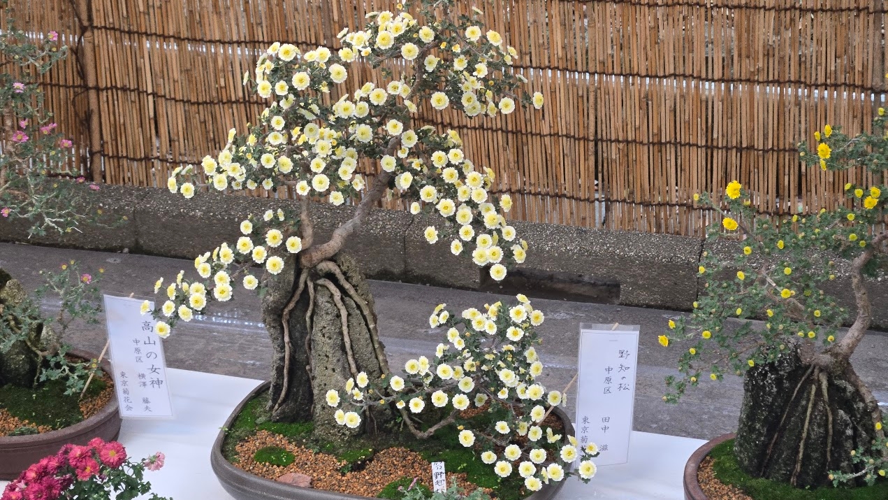 A photo of a flower display.