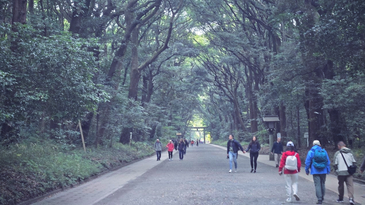A photo of a small crowd dispersed along a long road, with a torii gate towering over the road on the horizon. Yes, this road stretches to the horizon on these temple grounds.